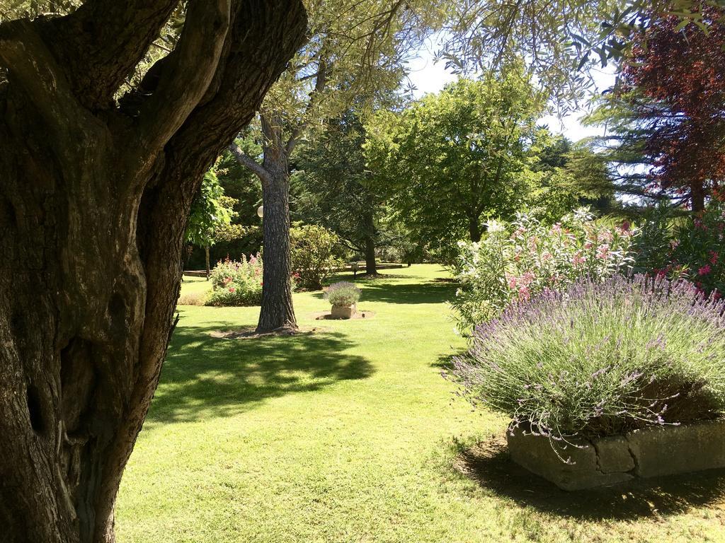 Villa Mas St Jean B&B Noves Esterno foto